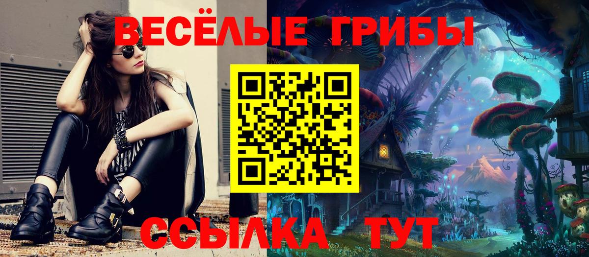 Галлюциногенные грибы Cubensis  хочу   Асино  Вход с VPN 